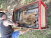 Harrys_BBQ_2010_Roast_Pig_Scene_5.JPG (165198 bytes)