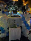 Wedding_of_the_year_Party__Scene_4.jpg (52857 bytes)