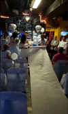 Wedding_of_the_year_Party__Scene_54.jpg (132298 bytes)