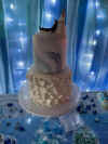 Wedding_of_the_year_Party__Scene_8.jpg (55463 bytes)